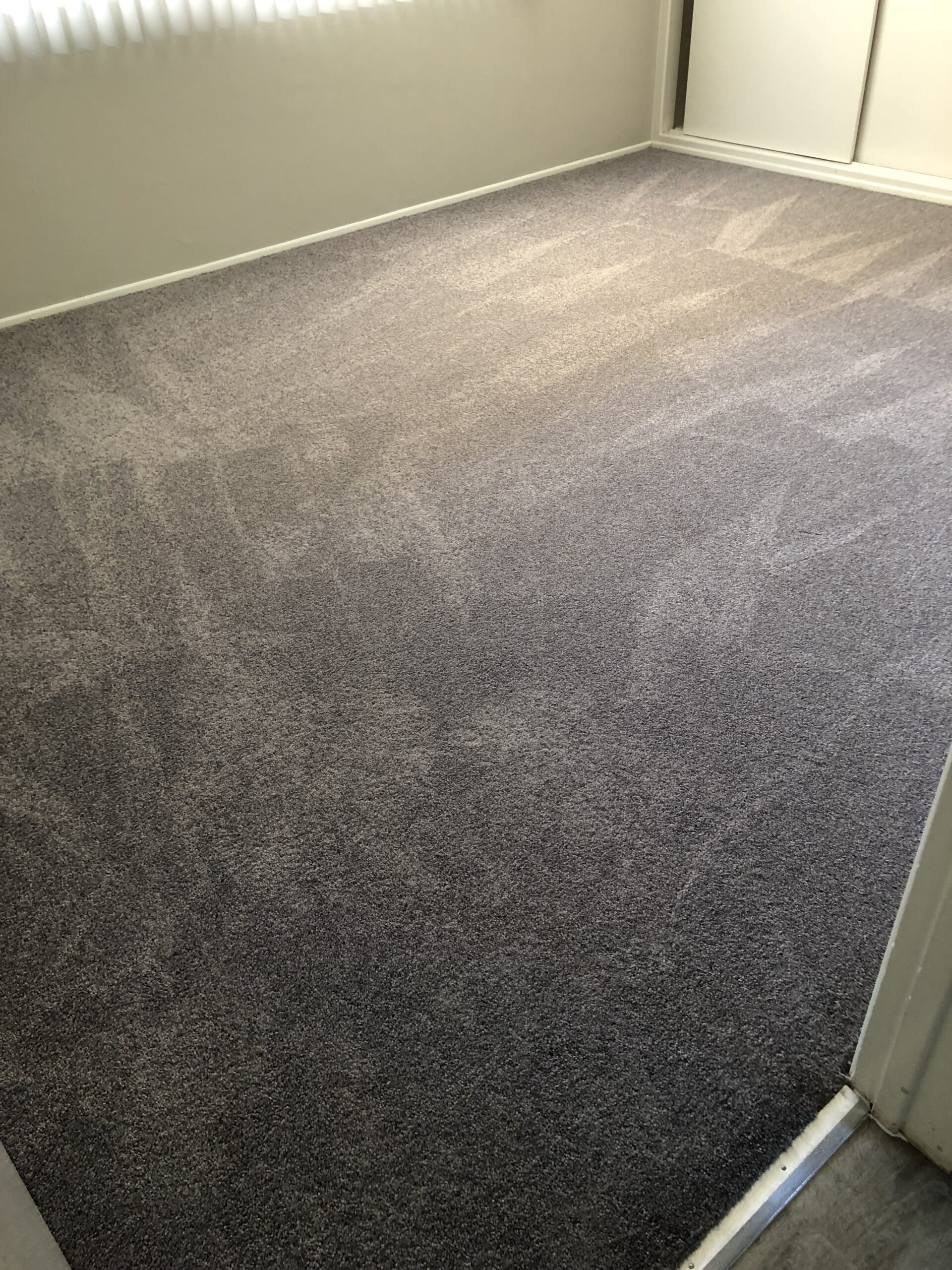 Grey Carpet Installation by Leo's Flooring.