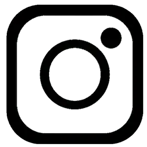 Leo's flooring Los Angeles Instagram icon, installation, refinish and repair flooring services.