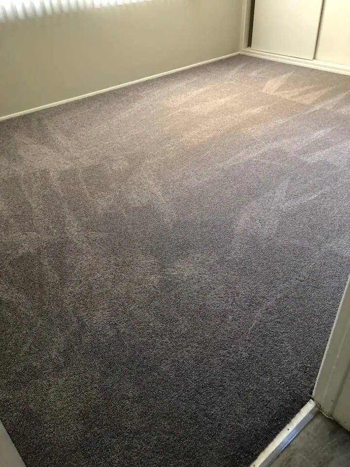Professional carpet installation in a Los Angeles home, featuring plush wall-to-wall carpeting, precise fitting, and clean finished edges.
